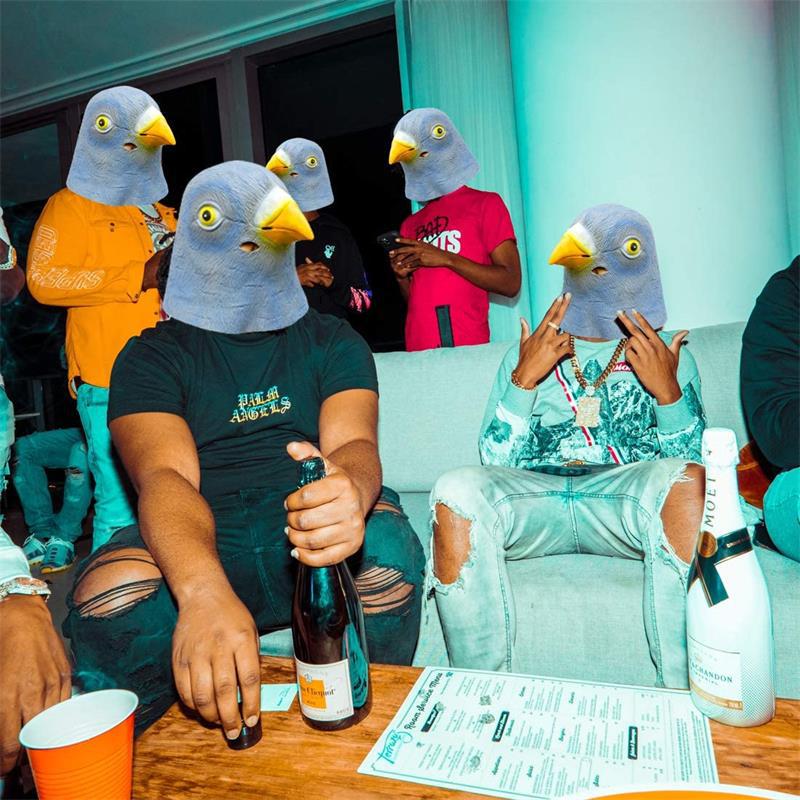 Kostium maski gołębia, nowator – Skincare Pigeon recenzja i cena